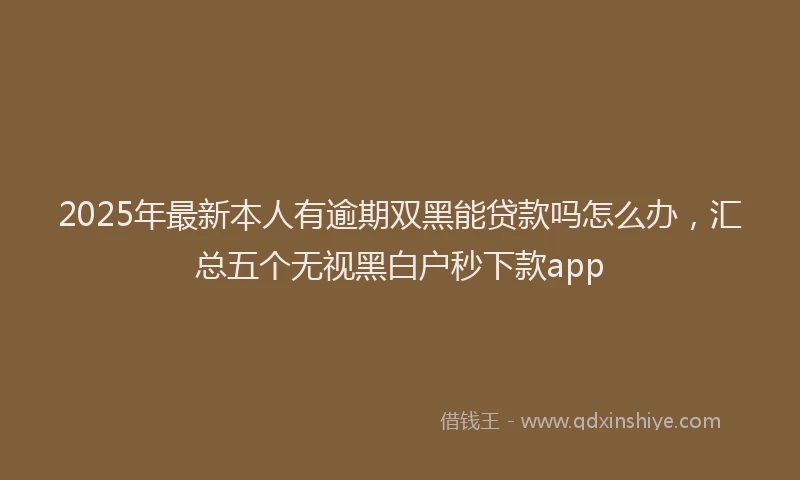 2025年最新本人有逾期双黑能贷款吗怎么办，汇总五个无视黑白户秒下款app