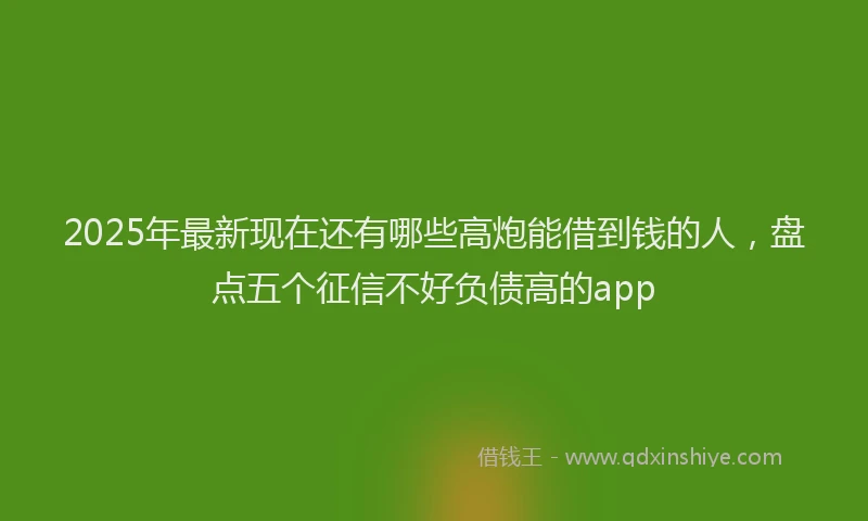2025年最新现在还有哪些高炮能借到钱的人，盘点五个征信不好负债高的app