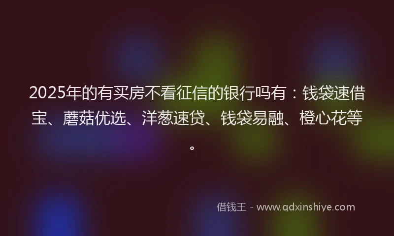 2025年的有买房不看征信的银行吗有：钱袋速借宝、蘑菇优选、洋葱速贷、钱袋易融、橙心花等。