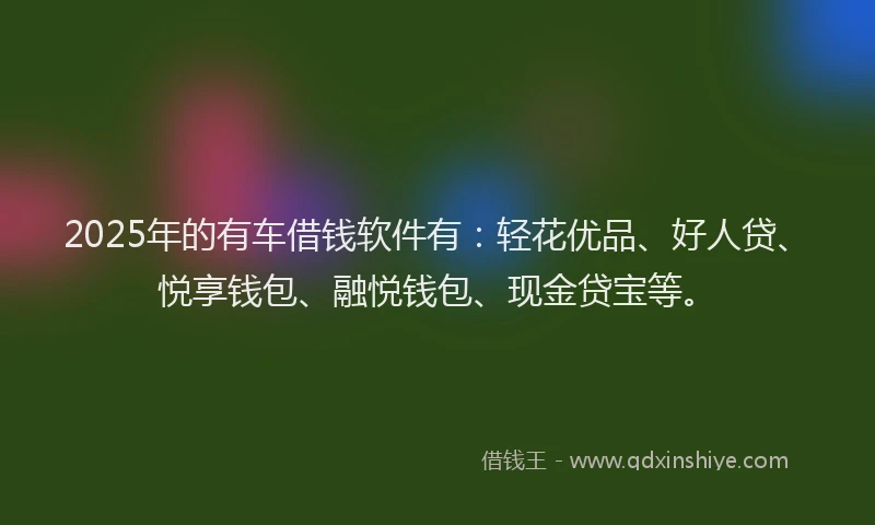 2025年的有车借钱软件有：轻花优品、好人贷、悦享钱包、融悦钱包、现金贷宝等。