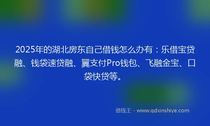 2025年的湖北房东自己借钱怎么办有：乐借宝贷融、钱袋速贷融、翼支付Pro钱包、飞融金宝、口袋快贷等。