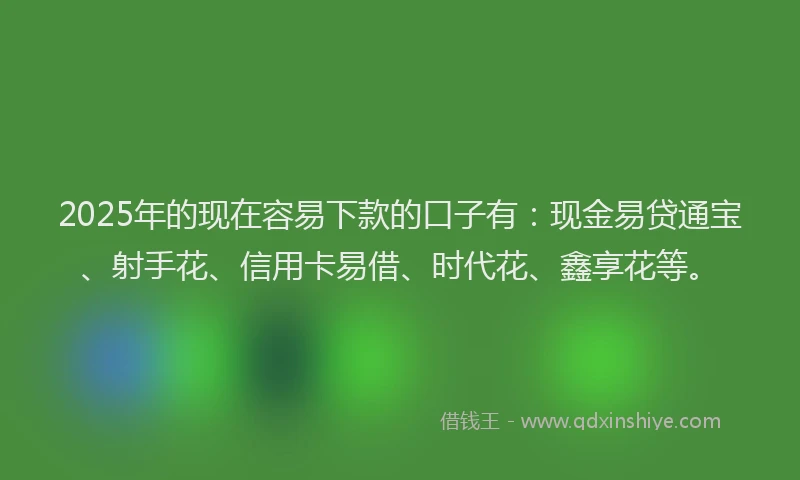 2025年的现在容易下款的口子有：现金易贷通宝、射手花、信用卡易借、时代花、鑫享花等。