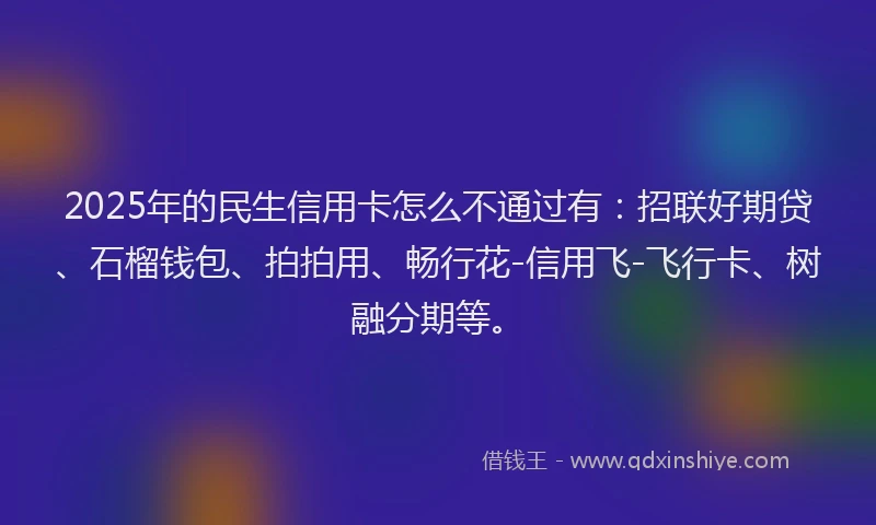 2025年的民生信用卡怎么不通过有：招联好期贷、石榴钱包、拍拍用、畅行花-信用飞-飞行卡、树融分期等。