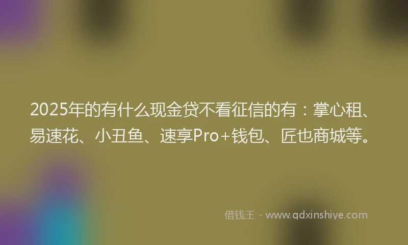 2025年的有什么现金贷不看征信的有：掌心租、易速花、小丑鱼、速享Pro+钱包、匠也商城等。