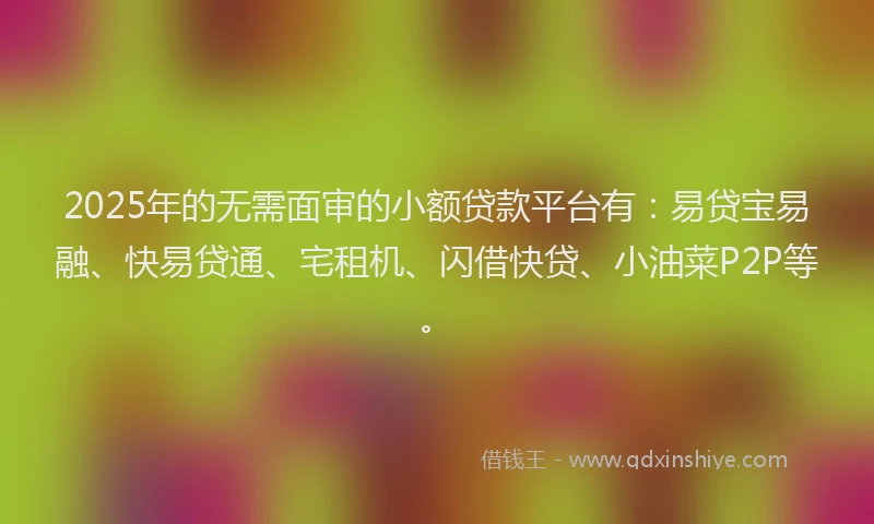 2025年的无需面审的小额贷款平台有：易贷宝易融、快易贷通、宅租机、闪借快贷、小油菜P2P等。