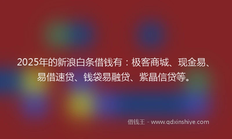 2025年的新浪白条借钱有：极客商城、现金易、易借速贷、钱袋易融贷、紫晶信贷等。