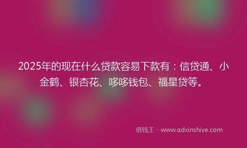 2025年的现在什么贷款容易下款有：信贷通、小金鹤、银杏花、哆哆钱包、福星贷等。