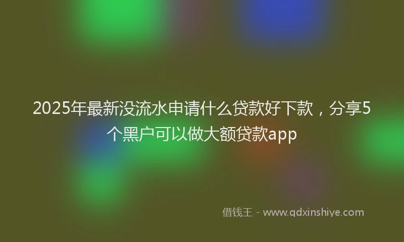 2025年最新没流水申请什么贷款好下款，分享5个黑户可以做大额贷款app