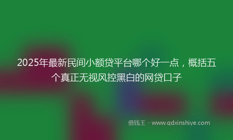 2025年最新民间小额贷平台哪个好一点，概括五个真正无视风控黑白的网贷口子