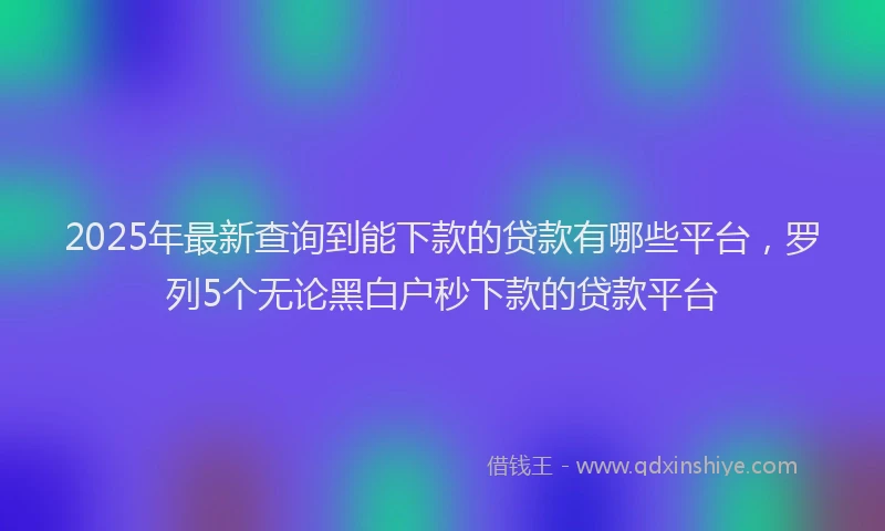 2025年最新查询到能下款的贷款有哪些平台，罗列5个无论黑白户秒下款的贷款平台