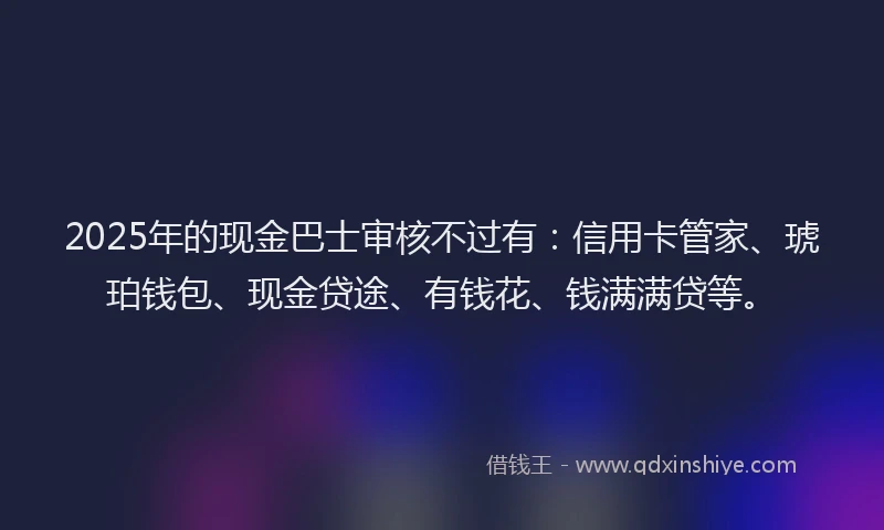 2025年的现金巴士审核不过有：信用卡管家、琥珀钱包、现金贷途、有钱花、钱满满贷等。
