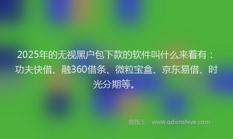 2025年的无视黑户包下款的软件叫什么来着有：功夫快借、融360借条、微粒宝盒、京东易借、时光分期等。