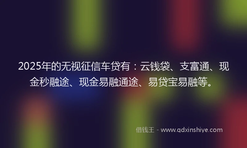 2025年的无视征信车贷有：云钱袋、支富通、现金秒融途、现金易融通途、易贷宝易融等。