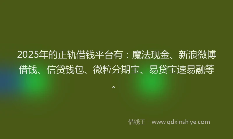 2025年的正轨借钱平台有：魔法现金、新浪微博借钱、信贷钱包、微粒分期宝、易贷宝速易融等。