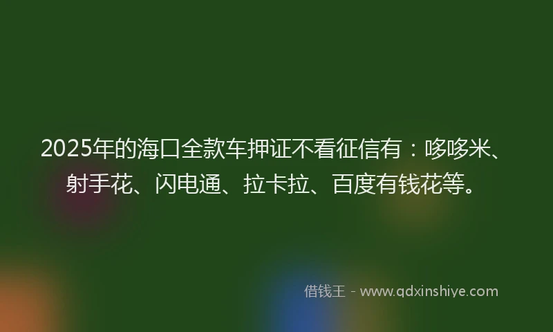 2025年的海口全款车押证不看征信有：哆哆米、射手花、闪电通、拉卡拉、百度有钱花等。