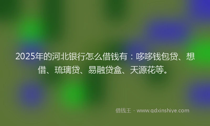 2025年的河北银行怎么借钱有：哆哆钱包贷、想借、琉璃贷、易融贷盒、天源花等。