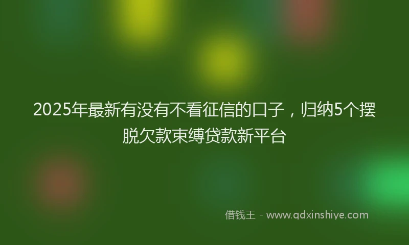 2025年最新有没有不看征信的口子，归纳5个摆脱欠款束缚贷款新平台