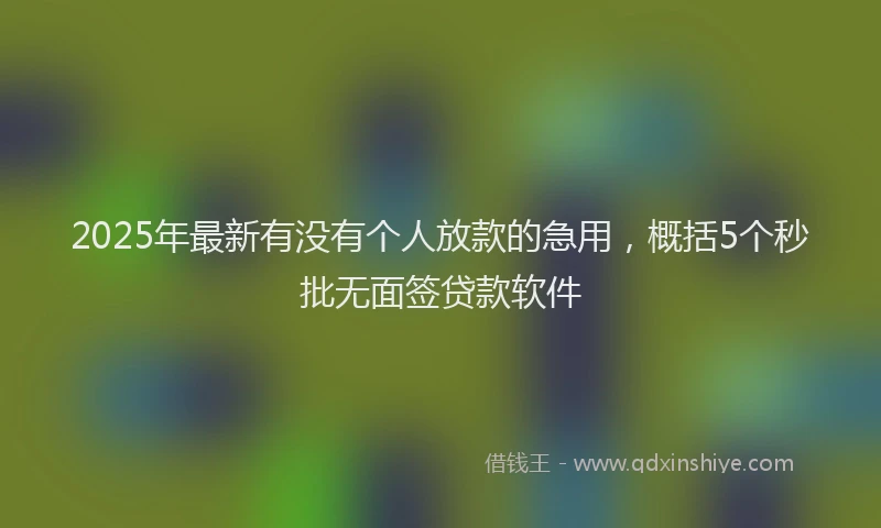 2025年最新有没有个人放款的急用，概括5个秒批无面签贷款软件