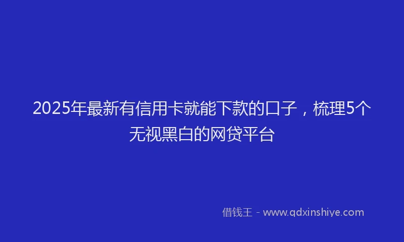 2025年最新有信用卡就能下款的口子，梳理5个无视黑白的网贷平台