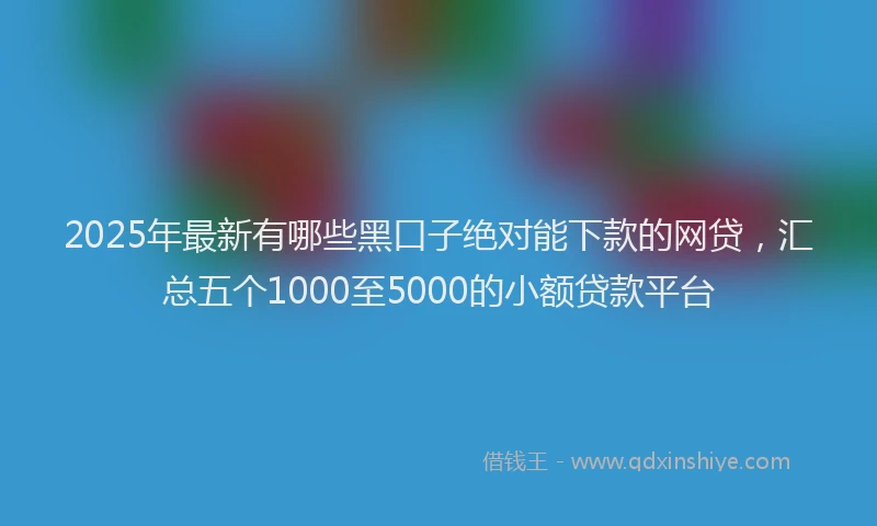 2025年最新有哪些黑口子绝对能下款的网贷，汇总五个1000至5000的小额贷款平台