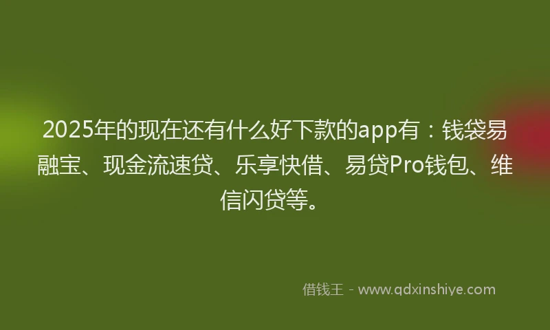 2025年的现在还有什么好下款的app有：钱袋易融宝、现金流速贷、乐享快借、易贷Pro钱包、维信闪贷等。