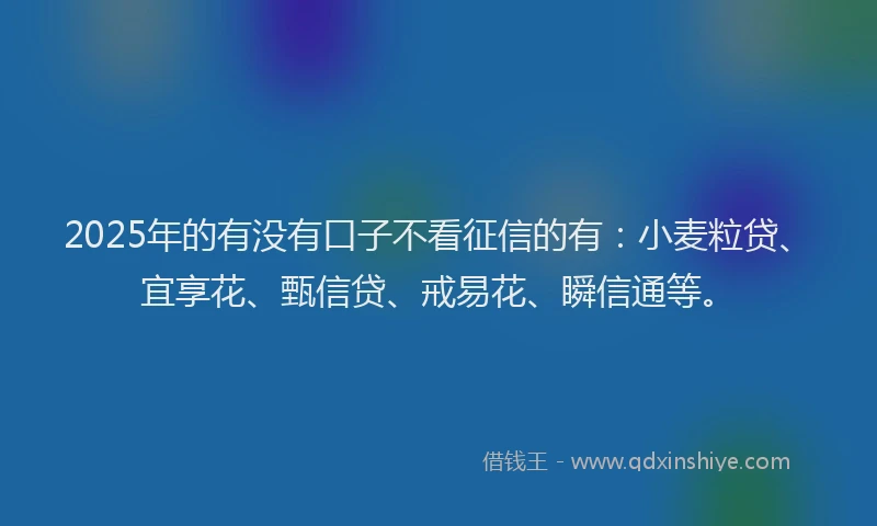 2025年的有没有口子不看征信的有：小麦粒贷、宜享花、甄信贷、戒易花、瞬信通等。