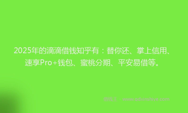 2025年的滴滴借钱知乎有：替你还、掌上信用、速享Pro+钱包、蜜桃分期、平安易借等。