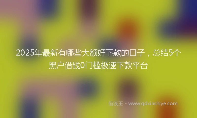 2025年最新有哪些大额好下款的口子，总结5个黑户借钱0门槛极速下款平台