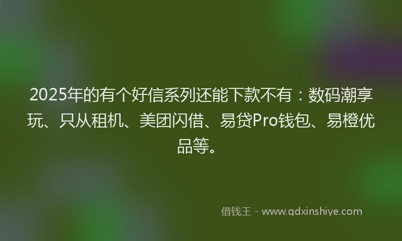 2025年的有个好信系列还能下款不有：数码潮享玩、只从租机、美团闪借、易贷Pro钱包、易橙优品等。