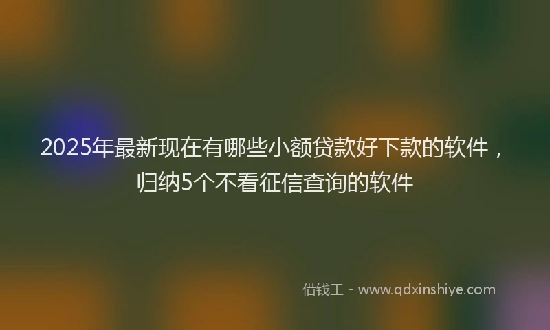 2025年最新现在有哪些小额贷款好下款的软件，归纳5个不看征信查询的软件