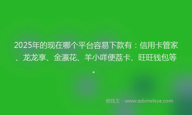 2025年的现在哪个平台容易下款有：信用卡管家、龙龙享、金瀛花、羊小咩便荔卡、旺旺钱包等。