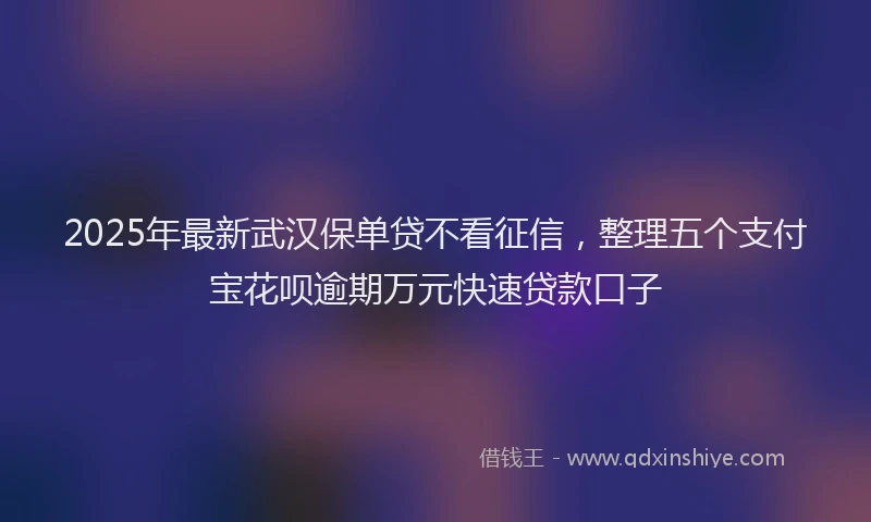 2025年最新武汉保单贷不看征信，整理五个支付宝花呗逾期万元快速贷款口子