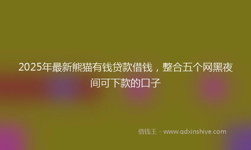 2025年最新熊猫有钱贷款借钱，整合五个网黑夜间可下款的口子
