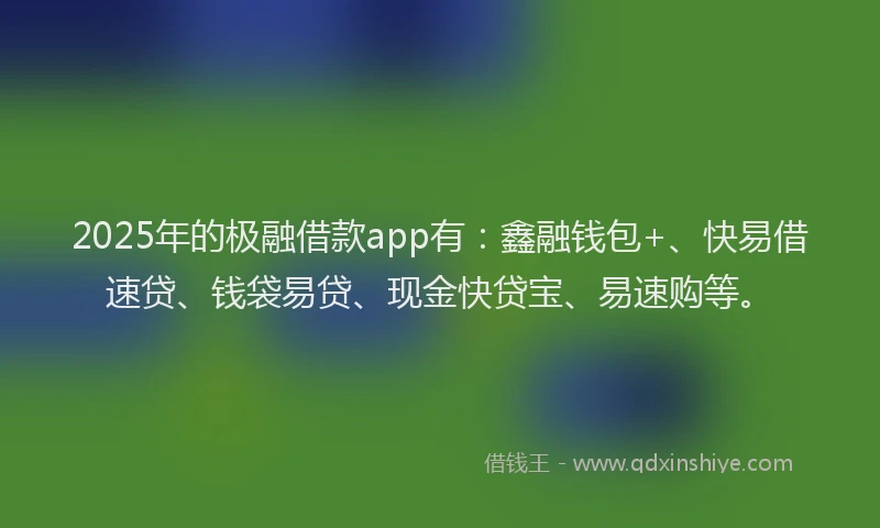 2025年的极融借款app有：鑫融钱包+、快易借速贷、钱袋易贷、现金快贷宝、易速购等。