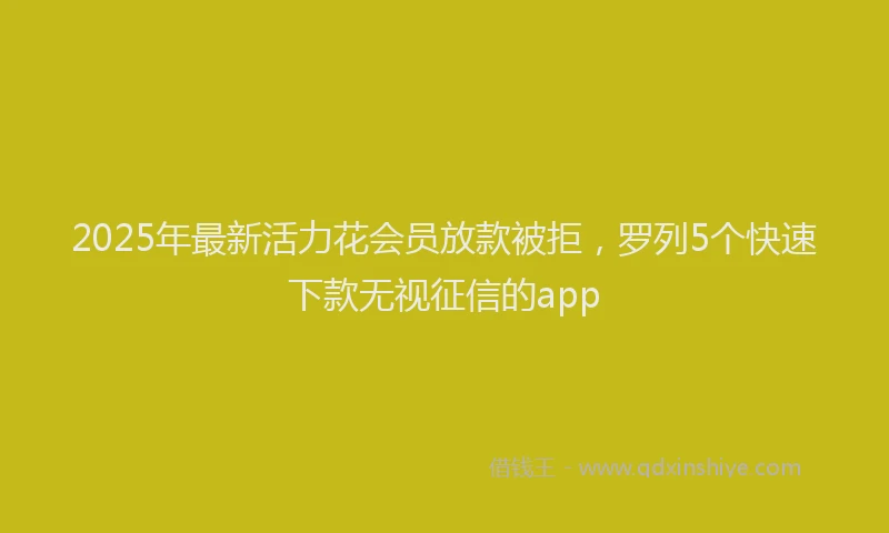 2025年最新活力花会员放款被拒，罗列5个快速下款无视征信的app