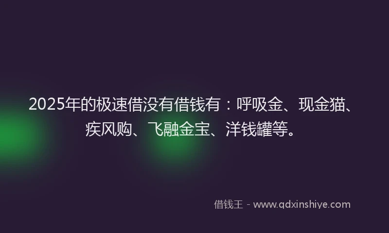 2025年的极速借没有借钱有：呼吸金、现金猫、疾风购、飞融金宝、洋钱罐等。