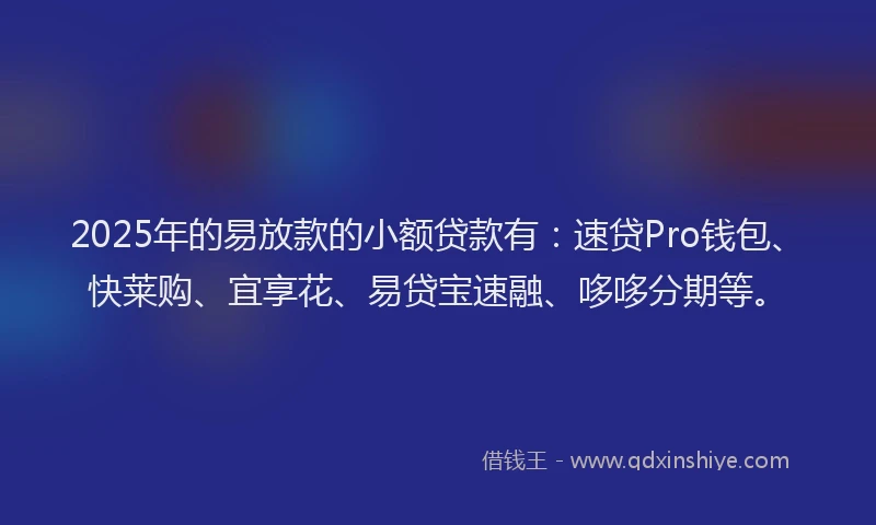 2025年的易放款的小额贷款有：速贷Pro钱包、快莱购、宜享花、易贷宝速融、哆哆分期等。