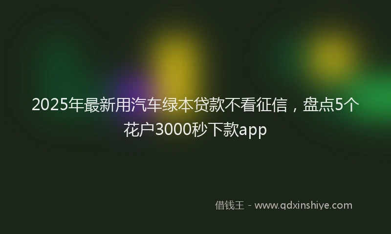 2025年最新用汽车绿本贷款不看征信，盘点5个花户3000秒下款app