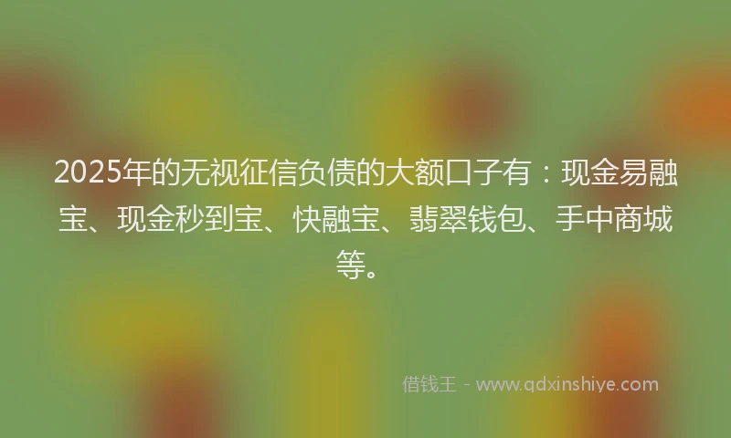 2025年的无视征信负债的大额口子有：现金易融宝、现金秒到宝、快融宝、翡翠钱包、手中商城等。