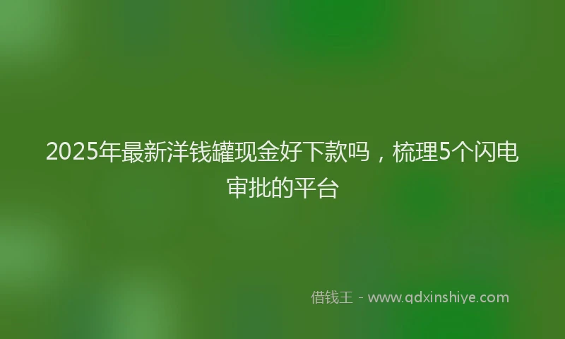 2025年最新洋钱罐现金好下款吗，梳理5个闪电审批的平台