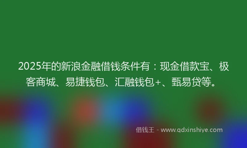 2025年的新浪金融借钱条件有：现金借款宝、极客商城、易捷钱包、汇融钱包+、甄易贷等。