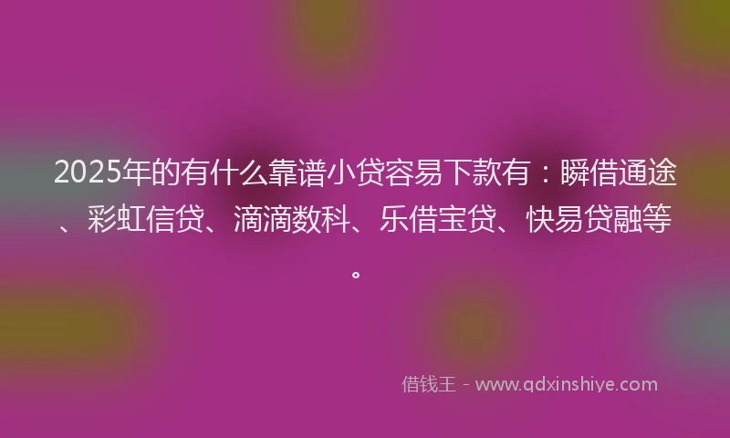 2025年的有什么靠谱小贷容易下款有：瞬借通途、彩虹信贷、滴滴数科、乐借宝贷、快易贷融等。