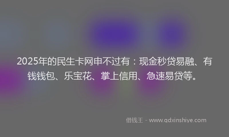 2025年的民生卡网申不过有：现金秒贷易融、有钱钱包、乐宝花、掌上信用、急速易贷等。
