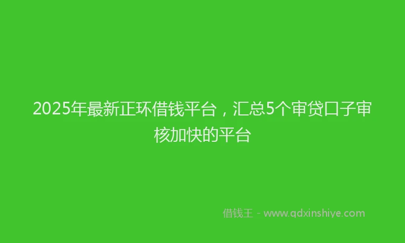 2025年最新正环借钱平台，汇总5个审贷口子审核加快的平台