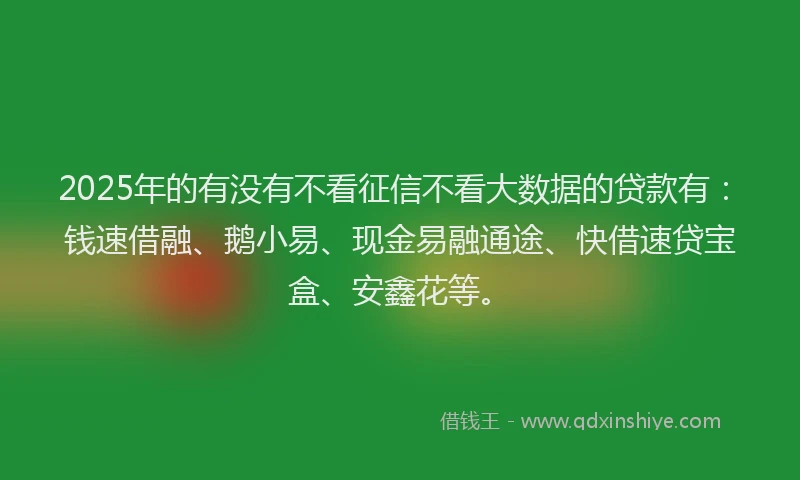 2025年的有没有不看征信不看大数据的贷款有：钱速借融、鹅小易、现金易融通途、快借速贷宝盒、安鑫花等。