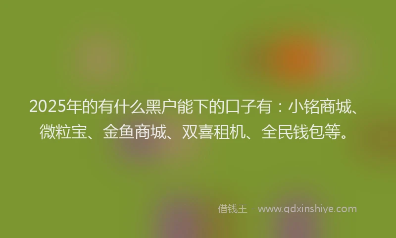 2025年的有什么黑户能下的口子有：小铭商城、微粒宝、金鱼商城、双喜租机、全民钱包等。