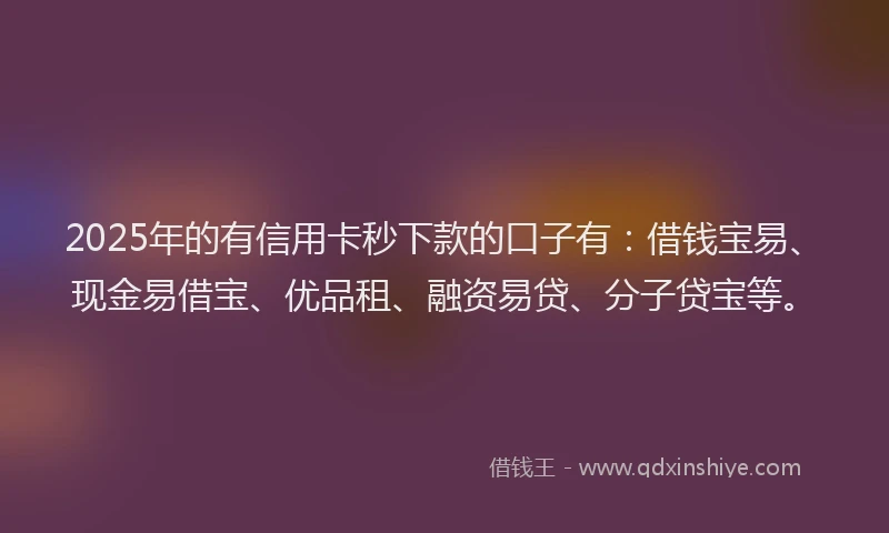 2025年的有信用卡秒下款的口子有：借钱宝易、现金易借宝、优品租、融资易贷、分子贷宝等。