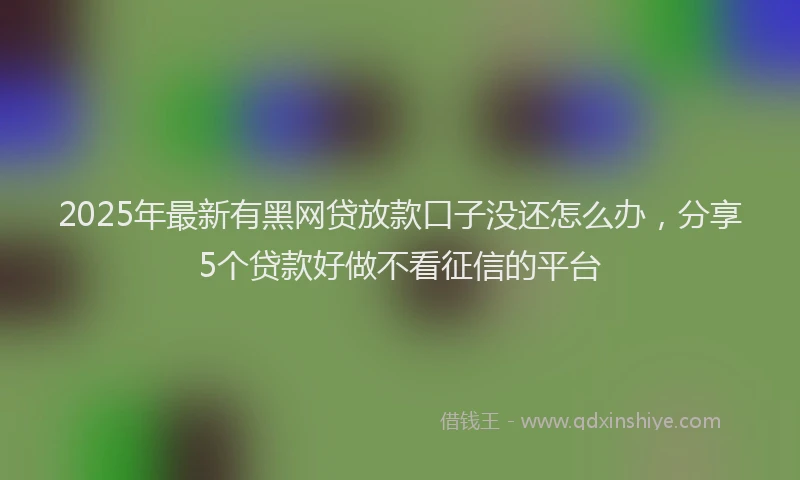 2025年最新有黑网贷放款口子没还怎么办，分享5个贷款好做不看征信的平台