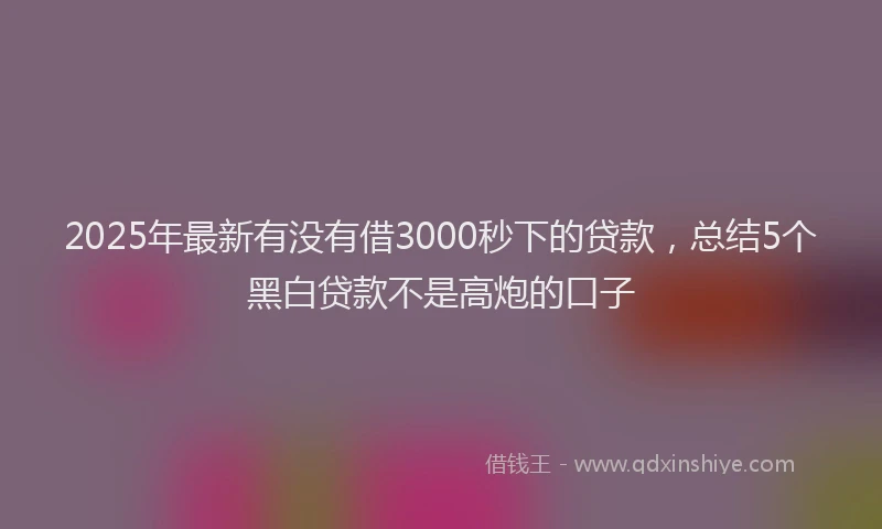 2025年最新有没有借3000秒下的贷款，总结5个黑白贷款不是高炮的口子
