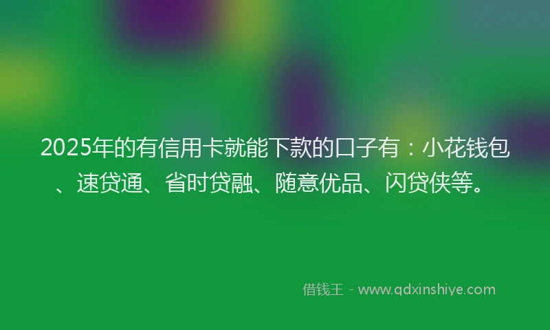 2025年的有信用卡就能下款的口子有：小花钱包、速贷通、省时贷融、随意优品、闪贷侠等。